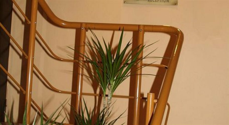 Гостиница Питерская Санкт-Петербург-227