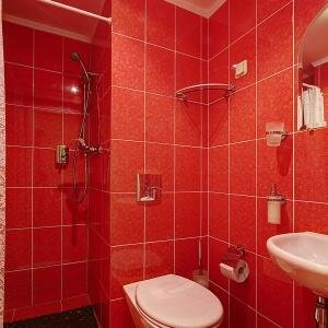 Гостиница Питерская Санкт-Петербург-226