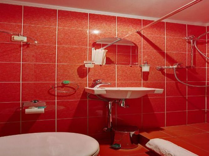 Гостиница Питерская Санкт-Петербург-100