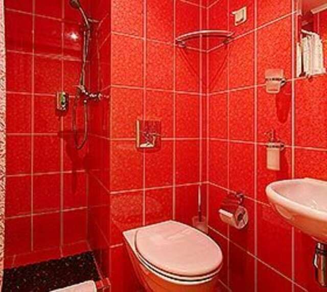 Гостиница Питерская Санкт-Петербург-183