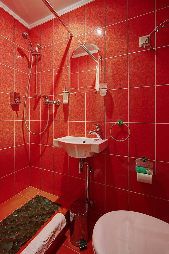 Гостиница Питерская Санкт-Петербург-233