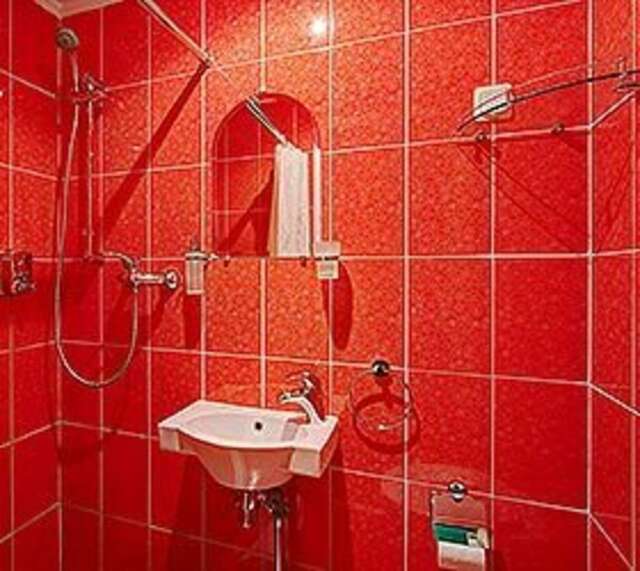 Гостиница Питерская Санкт-Петербург-210