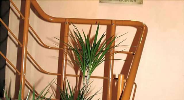 Гостиница Питерская Санкт-Петербург-30