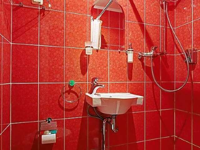 Гостиница Питерская Санкт-Петербург-219