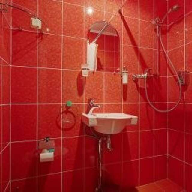 Гостиница Питерская Санкт-Петербург-242