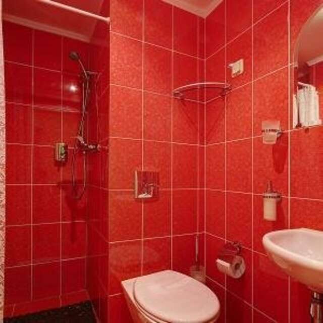 Гостиница Питерская Санкт-Петербург-225