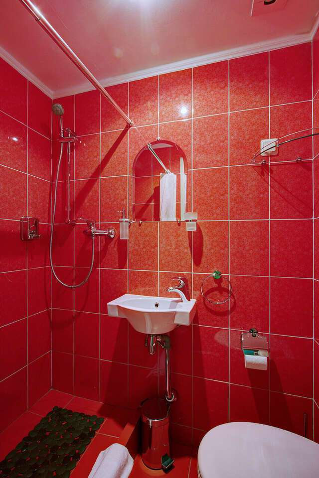 Гостиница Питерская Санкт-Петербург-223